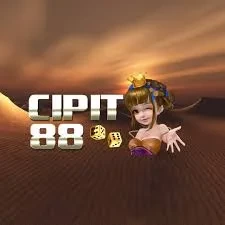 idn668
